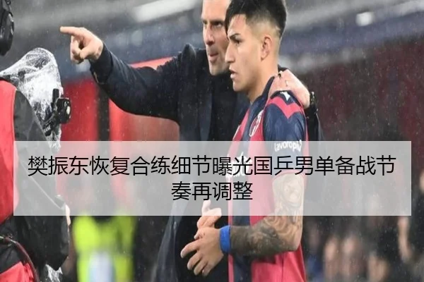 樊振东恢复合练细节曝光国乒男单备战节奏再调整